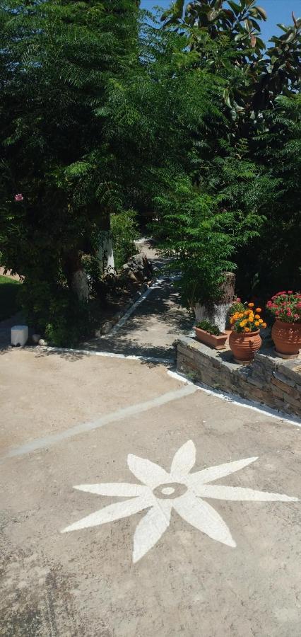 Athina Studio Apartments Кервели Экстерьер фото